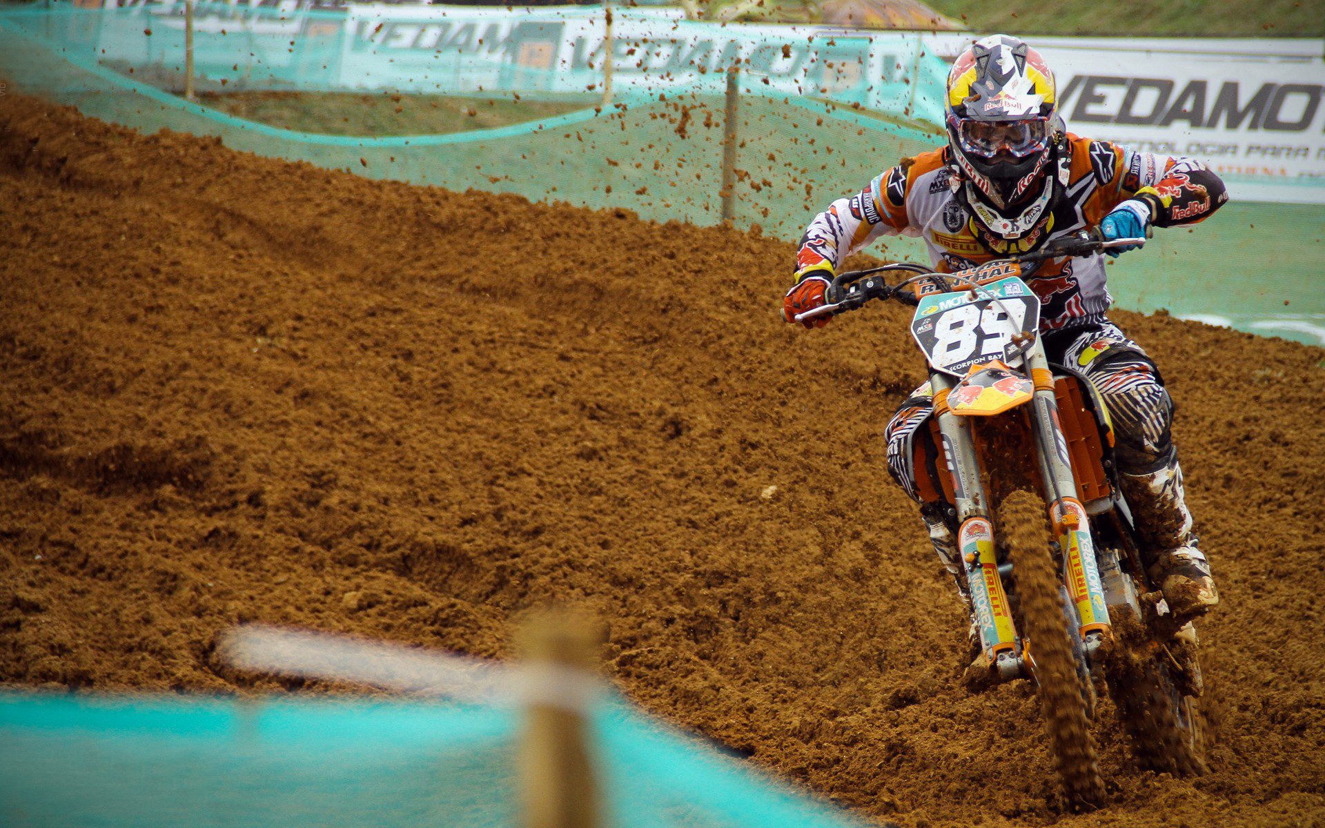 最佳阵容候选,谁会成为“人气王”?