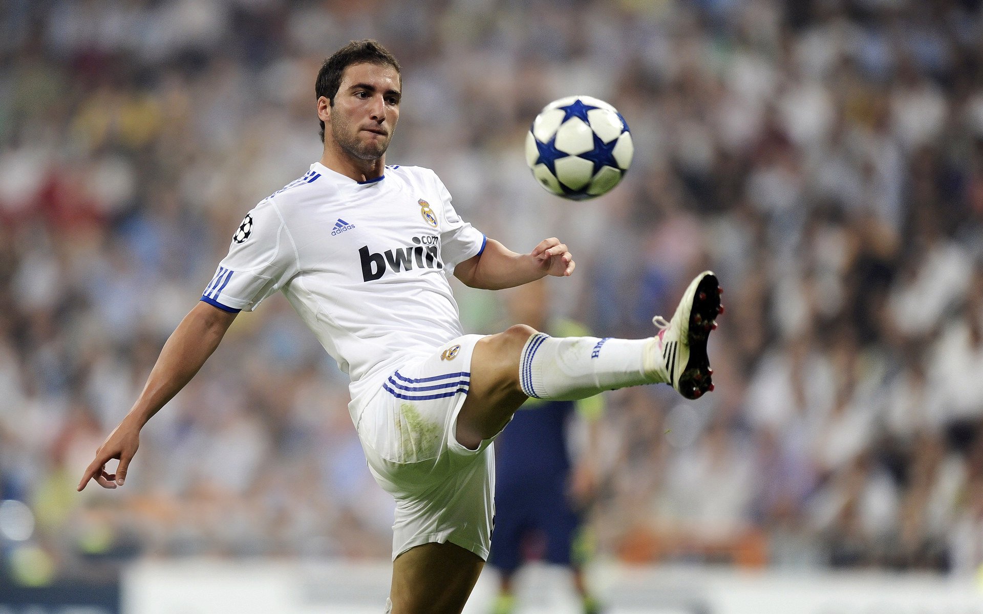 最佳阵容候选,谁会成为“人气王”?